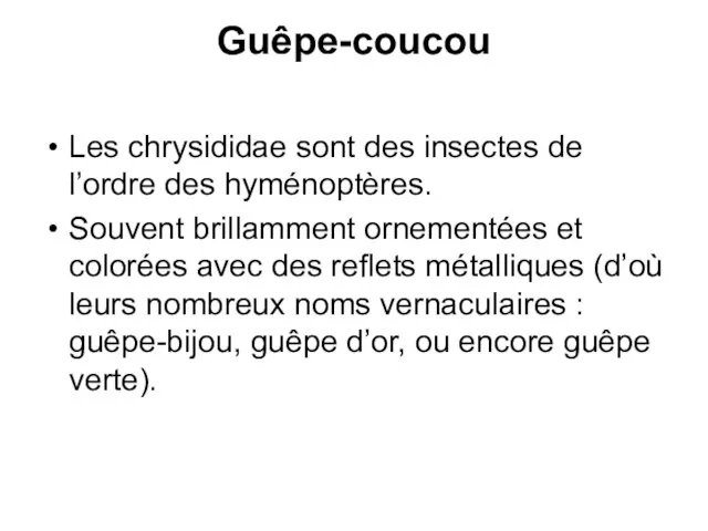 Guêpe-coucou Les chrysididae sont des insectes de l’ordre des hyménoptères. Souvent