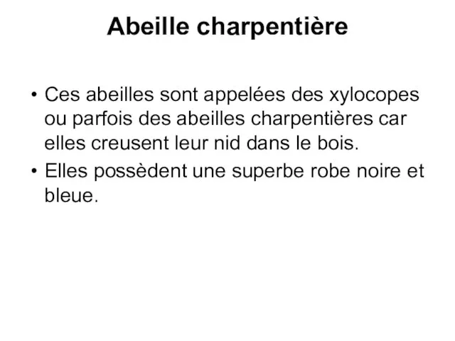 Abeille charpentière Ces abeilles sont appelées des xylocopes ou parfois des