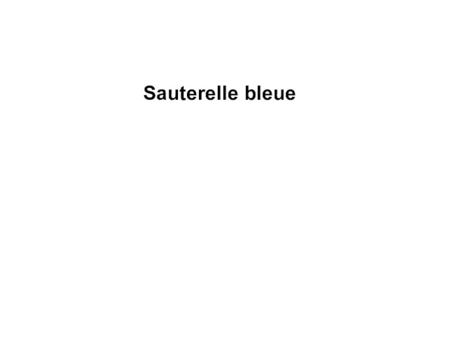 Sauterelle bleue