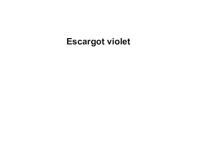 Escargot violet