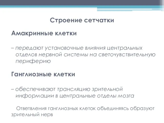 Амакринные клетки – передают установочные влияния центральных отделов нервной системы на