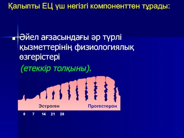 Қалыпты ЕЦ үш негізгі компоненттен тұрады: Әйел ағзасындағы әр түрлі қызметтерінің