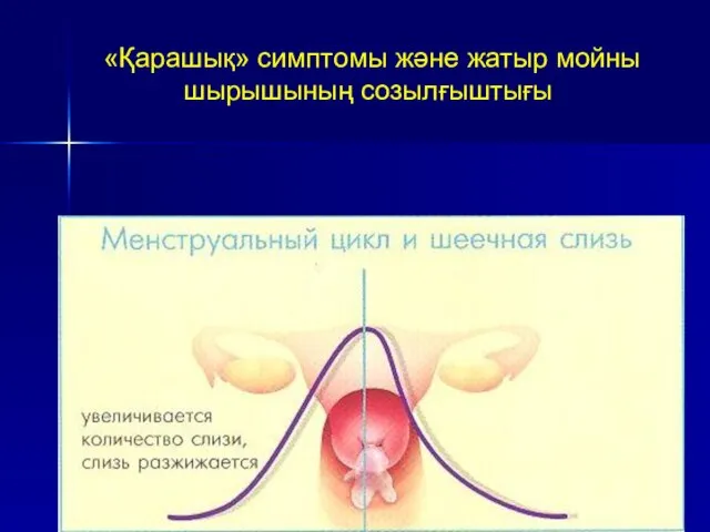 «Қарашық» симптомы және жатыр мойны шырышының созылғыштығы