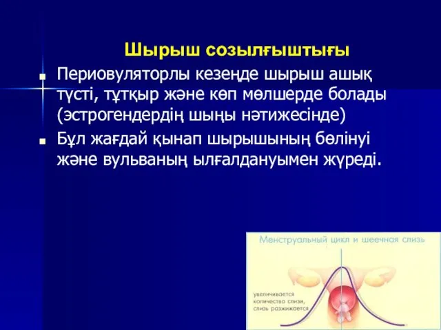 Шырыш созылғыштығы Периовуляторлы кезеңде шырыш ашық түсті, тұтқыр және көп мөлшерде