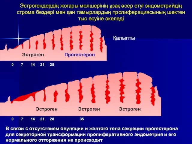 Эстрогендердің жоғары мөлшерінің ұзақ әсер етуі эндометрийдің строма бездері мен қан