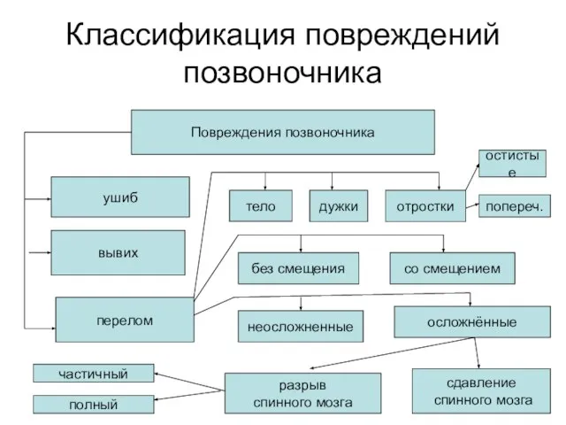 Классификация повреждений позвоночника Повреждения позвоночника ушиб вывих перелом тело дужки отростки