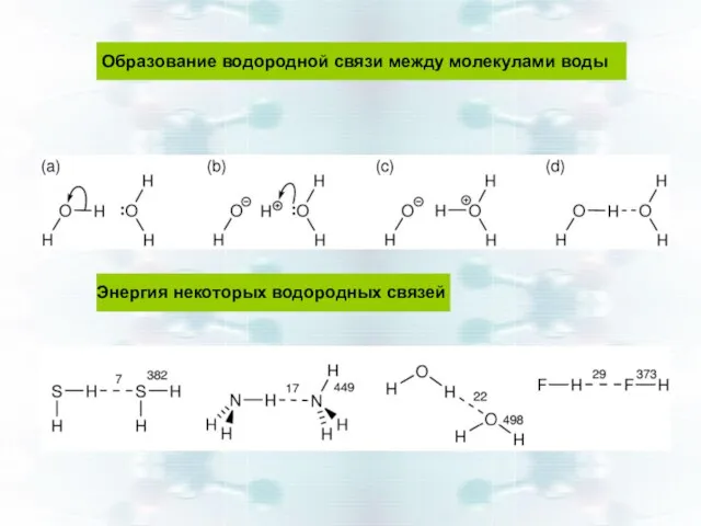 Образование водородной связи между молекулами воды Энергия некоторых водородных связей