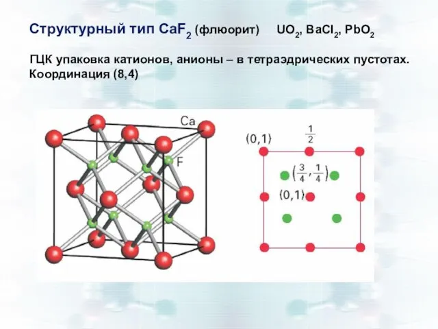 Структурный тип CaF2 (флюорит) UO2, BaCl2, PbO2 ГЦК упаковка катионов, анионы