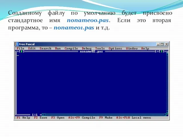 Созданному файлу по умолчанию будет присвоено стандартное имя noname00.pas. Если это