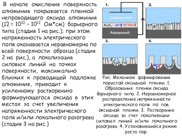 В начале окисления поверхность алюминия покрывается пленкой непроводящего оксида алюминия (Ω