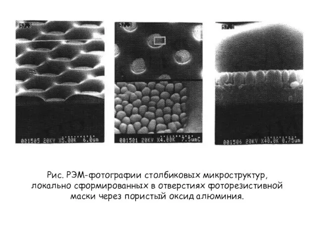 Рис. РЭМ-фотографии столбиковых микроструктур, локально сформированных в отверстиях фоторезистивной маски через пористый оксид алюминия.