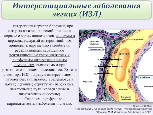 Fan E. L., et al 2002 Интерстициальные заболевания легких. Руководство для