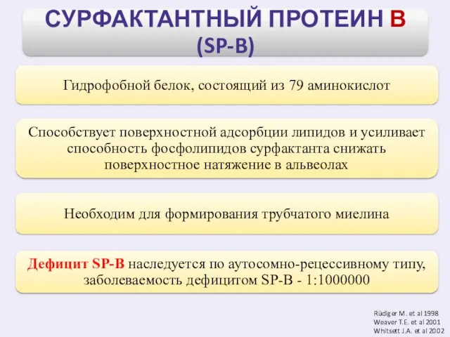Rüdiger M. et al 1998 Weaver T.E. et al 2001 Whitsett J.A. et al 2002