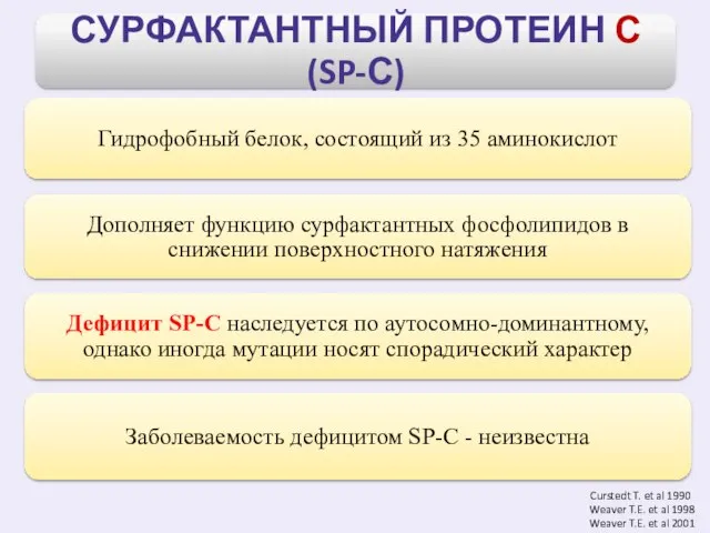 Curstedt T. et al 1990 Weaver T.E. et al 1998 Weaver T.E. et al 2001