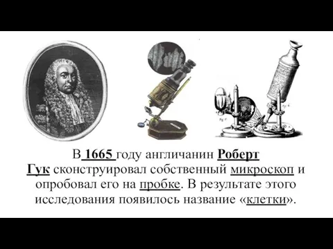 В 1665 году англичанин Роберт Гук сконструировал собственный микроскоп и опробовал
