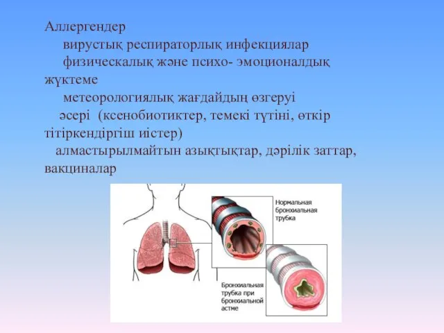 Аллергендер вирустық респираторлық инфекциялар физическалық және психо- эмоционалдық жүктеме метеорологиялық жағдайдың