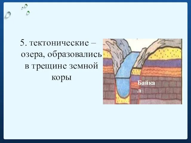 5. тектонические – озера, образовались в трещине земной коры Байкал