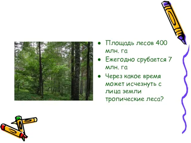 Площадь лесов 400 млн. га Ежегодно срубается 7 млн. га Через