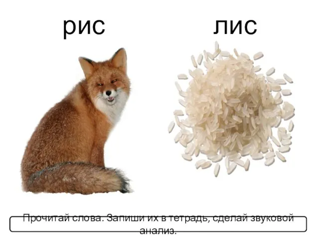 рис лис Прочитай слова. Запиши их в тетрадь, сделай звуковой анализ.