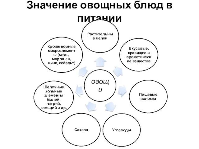 Значение овощных блюд в питании