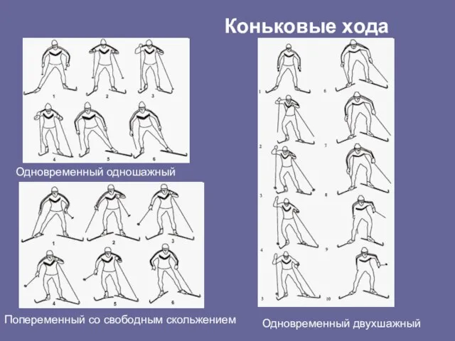 Одновременный одношажный Коньковые хода Попеременный со свободным скольжением Одновременный двухшажный