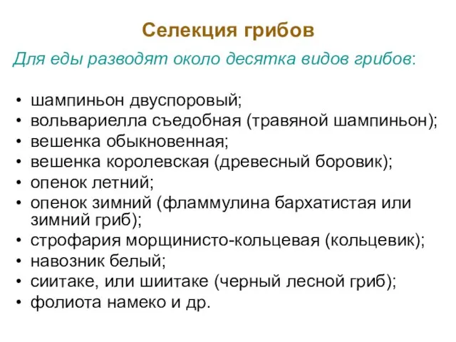 Селекция грибов Для еды разводят около десятка видов грибов: шампиньон двуспоровый;