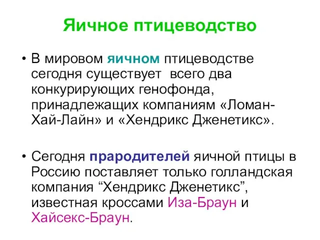 В мировом яичном птицеводстве сегодня существует всего два конкурирующих генофонда, принадлежащих