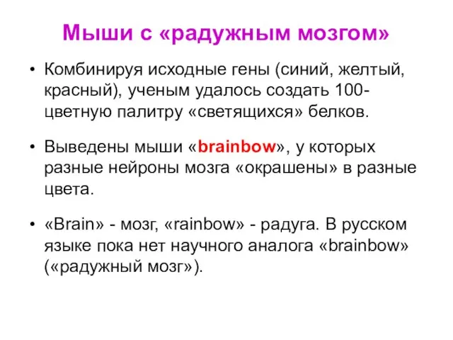 Мыши с «радужным мозгом» Комбинируя исходные гены (синий, желтый, красный), ученым