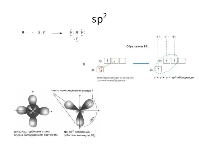 sp2