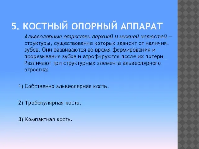 5. КОСТНЫЙ ОПОРНЫЙ АППАРАТ Альвеолярные отростки верхней и нижней челюстей —