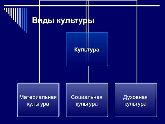 Виды культуры