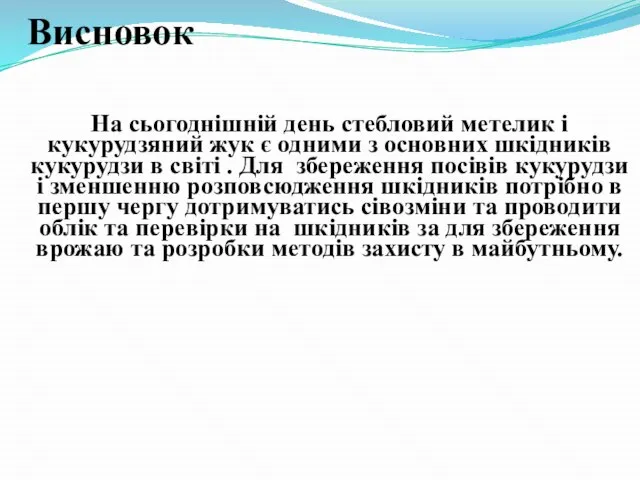 Висновок На сьогоднішній день стебловий метелик і кукурудзяний жук є одними