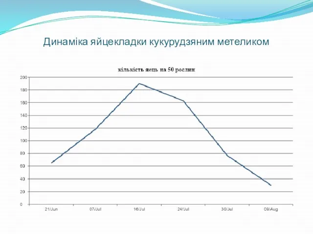 Динаміка яйцекладки кукурудзяним метеликом