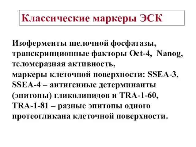 Изоферменты щелочной фосфатазы, транскрипционные факторы Oct-4, Nanog, теломеразная активность, маркеры клеточной