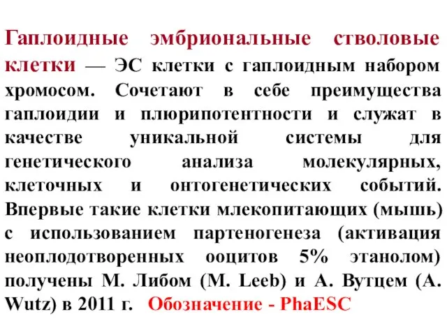 Гаплоидные эмбриональные стволовые клетки — ЭС клетки с гаплоидным набором хромосом.