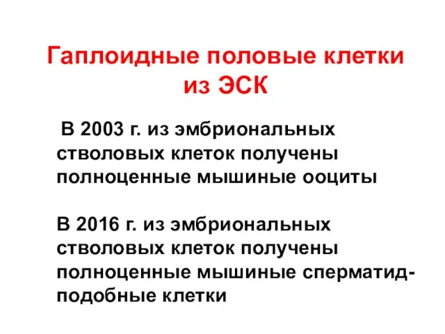 Гаплоидные половые клетки из ЭСК В 2003 г. из эмбриональных стволовых