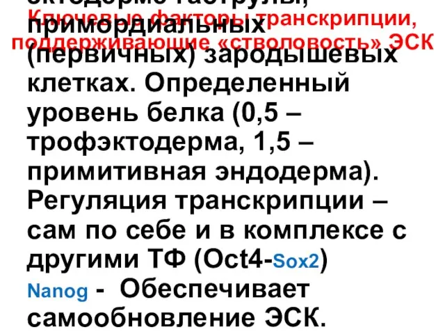 Ключевые факторы транскрипции, поддерживающие «стволовость» ЭСК Oct-4 – Присутствует в ЭСК,