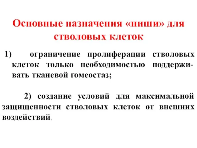 Основные назначения «ниши» для стволовых клеток ограничение пролиферации стволовых клеток только