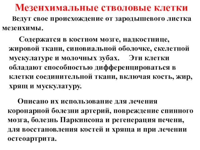 Мезенхимальные стволовые клетки Ведут свое происхождение от зародышевого листка мезенхимы. Содержатся