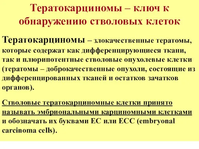 Тератокарциномы – ключ к обнаружению стволовых клеток Тератокарциномы – злокачественные тератомы,