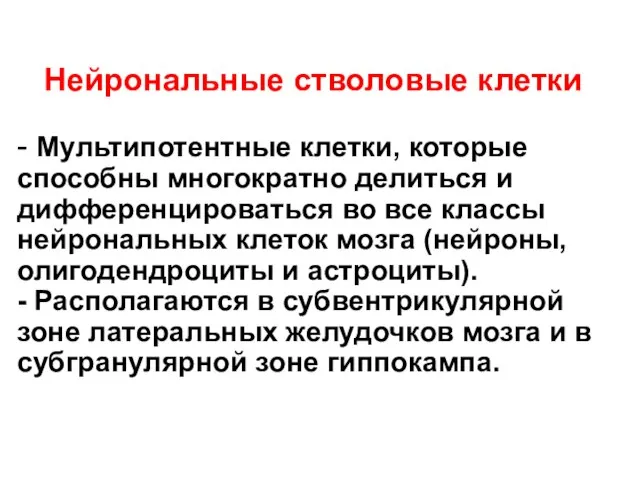 Нейрональные стволовые клетки - Мультипотентные клетки, которые способны многократно делиться и