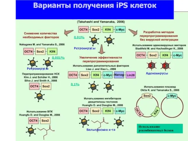 Ретровирусы Аденовирусы Вальпроевая к-та Варианты получения iPS клеток 0,01% 0,1% 0,001% Ретровирусы Использование рекомбинантных белков