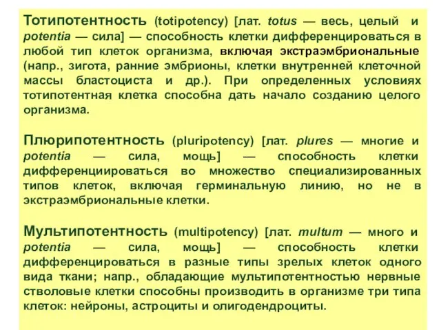 Тотипотентность (totipotency) [лат. totus — весь, целый и potentia — сила]