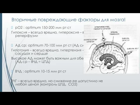 Вторичные повреждающие факторы для мозга! рО2 : optimum 150-200 мм рт