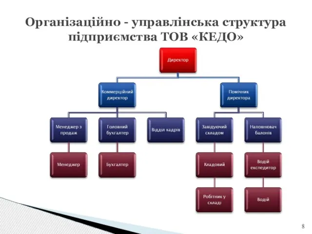 Організаційно - управлінська структура підприємства ТОВ «КЕДО»