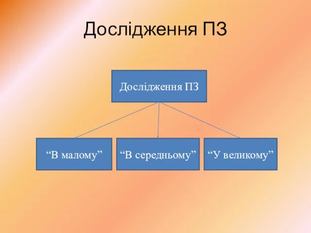 Дослідження ПЗ Дослідження ПЗ “У великому” “В малому” “В середньому”