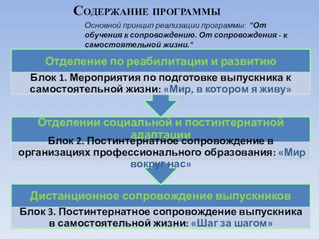 Основной принцип реализации программы: "От обучения к сопровождению. От сопровождения - к самостоятельной жизни." Содержание программы