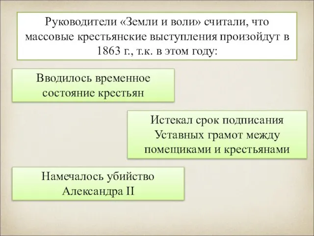 Руководители «Земли и воли» считали, что массовые крестьянские выступления произойдут в