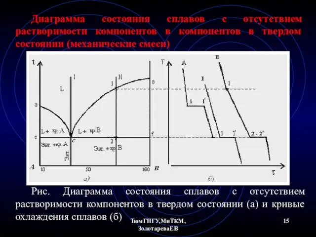 ТюмГНГУ,МиТКМ,ЗолотареваЕВ Диаграмма состояния сплавов с отсутствием растворимости компонентов в компонентов в
