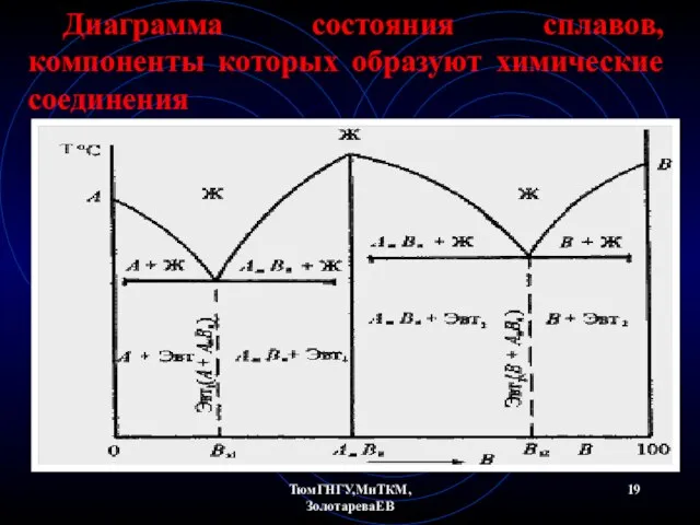 ТюмГНГУ,МиТКМ,ЗолотареваЕВ Диаграмма состояния сплавов, компоненты которых образуют химические соединения